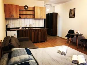 Vista Gudauri Apartment 25