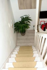 San Luigi Milano Apartment