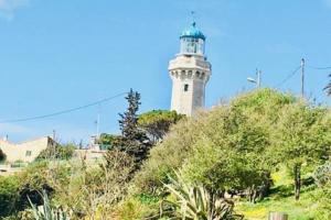 Appartements MAGNIFIQUE T2 NEUF TOP EMPLACEMENT ! : photos des chambres