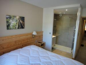 Chalet. Les Fermes de Vars