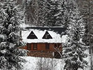 Bacówka w sercu gór - dom z bali w Gorcach - Knurów