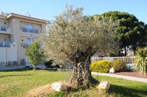 Hotels Hotel Bleu Azur : photos des chambres