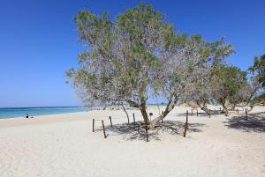 Villa Manolis Chania Greece