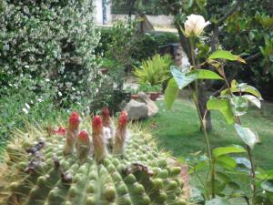 Bed & Breakfast Dessole img12