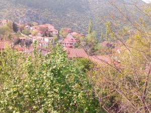 Guest House Waterfall Parnassos Greece