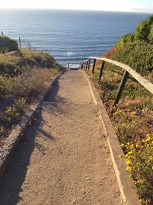 Parcela Las Violetas