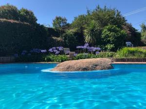 Homero y Martín Coronado