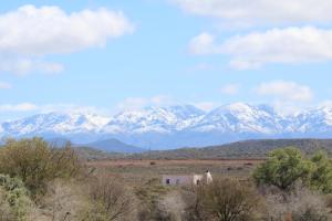 Grysbok Self Catering Accommodation