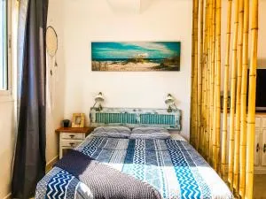 Aloe Studio - Corralejo