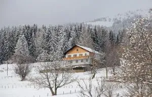 Ferienwohnung Greim - Sankt Peter am Kammersberg
