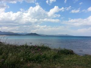 Sunflower house img27