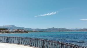 Sunflower house img25