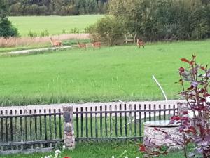 Guest House Ziedkalni