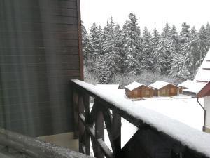 All Seasons Apartments Iglika 2