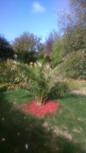 Maisons de vacances La maison de Keralies : photos des chambres