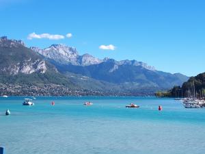 Appartements Studio Le Virgile - Annecy : photos des chambres