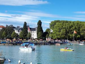 Appartements Studio Le Virgile - Annecy : photos des chambres