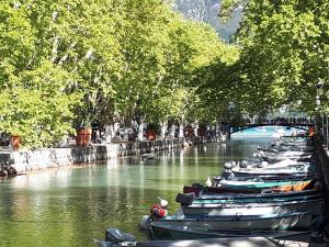 Appartements Studio Le Virgile - Annecy : photos des chambres