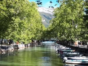 Appartements Studio Le Virgile - Annecy : photos des chambres