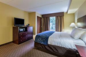 King Suite - Accessible/Non-Smoking room in Comfort Suites Near Gettysburg Battlefield Visitor Center