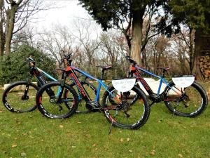 Holiday Home Casa Dei Farfui