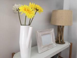 LyriosHomes Málaga Cervantes