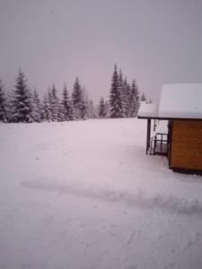 Коттедж для отдыха Дискавери