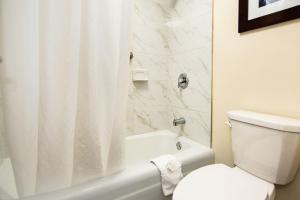 Standard King Room - Non-Smoking  room in Clarion Inn & Suites New Hope-Lambertville