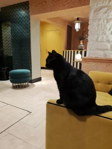 Hotels Denfert-Montparnasse : photos des chambres