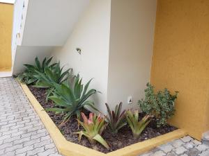 Pousada Barra Nativa