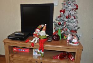 Feels like Home "Red Tulip"