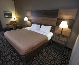 Standard King Room - Non-Smoking  room in Quality Inn & Suites University