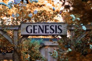 Genesis Voorschoten