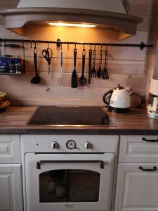 Holiday House & Sauna in Druskininkai