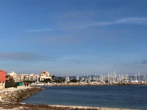 Appartements residence port hyeres les palmiers : photos des chambres