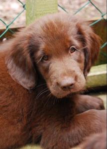 The ESKBANK hotel - Rathan House