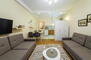 Apartament Wietora WAWELOFTS