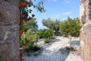 Peacock Hill Villa Aegina Greece