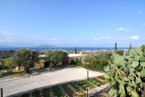 Peacock Hill Villa Aegina Greece