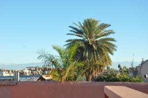 Riad Sania By Ghali