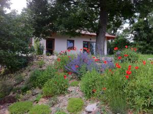 Apartmánový dom Harmónia - 4hvězdičkové hotely ve městě Modra