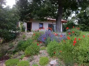 Apartmánový dom Harmónia - Podhradie