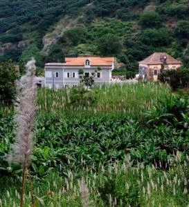 Wahnon Guesthouse - Perdia