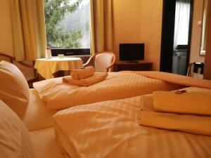 Standard Double Room room in Hotel zur Schmiede
