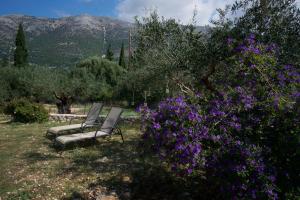 Anatoli Villa Kefalloniá Greece