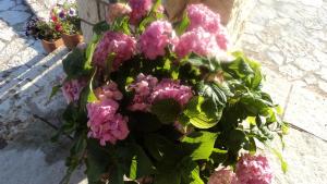 Hotel Ladias Zagori Greece