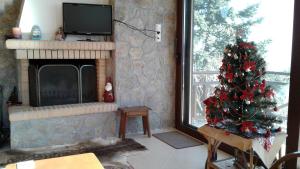 Elatos cozy Studio Orini-Korinthia Greece