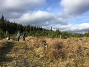 Apartmány Karlov pod Pradědem