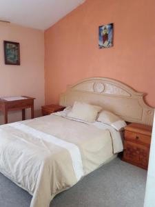 Fresnos Residencia Queretaro -