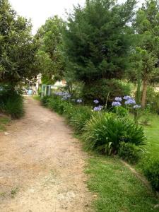 Residencial Saldanha